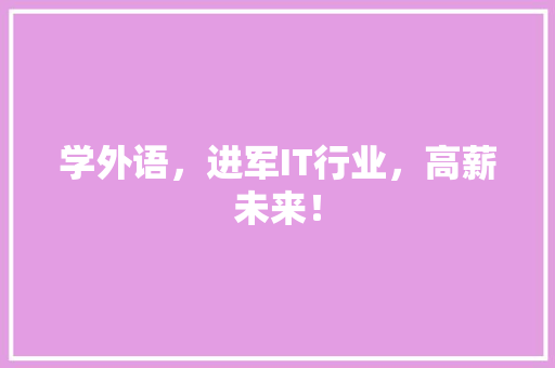 学外语，进军IT行业，高薪未来！ 网站建设公司
