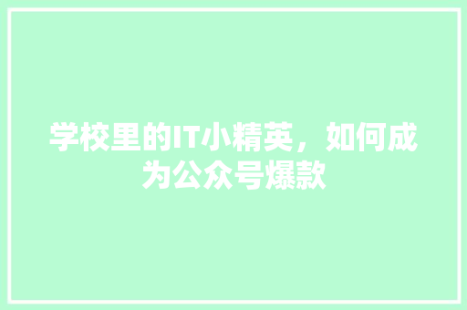 学校里的IT小精英，如何成为公众号爆款 百度SEO