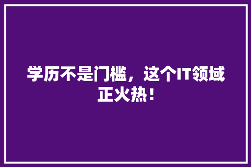 学历不是门槛，这个IT领域正火热！ 百度SEO