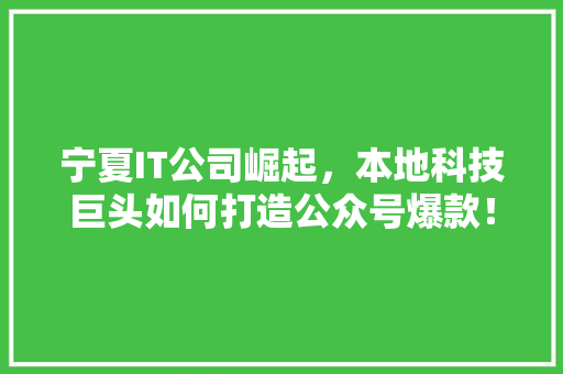 宁夏IT公司崛起，本地科技巨头如何打造公众号爆款！ 网站建设公司