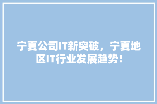宁夏公司IT新突破，宁夏地区IT行业发展趋势！ SEO关键词