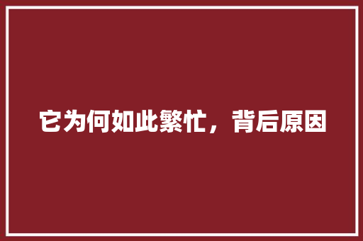 它为何如此繁忙，背后原因 百度SEO