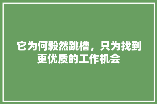 它为何毅然跳槽，只为找到更优质的工作机会 百度SEO