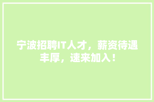 宁波招聘IT人才，薪资待遇丰厚，速来加入！ 必应SEO