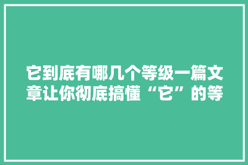 它到底有哪几个等级一篇文章让你彻底搞懂“它”的等级划分 必应SEO
