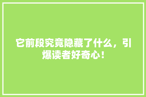 它前段究竟隐藏了什么，引爆读者好奇心！ 神马SEO