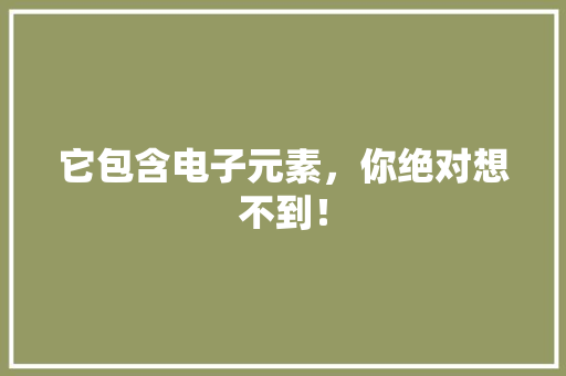 它包含电子元素，你绝对想不到！ 百度SEO