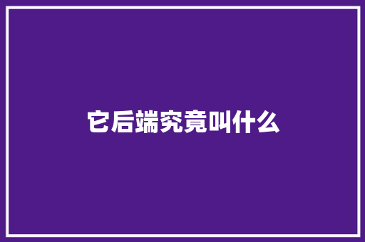 它后端究竟叫什么 必应SEO