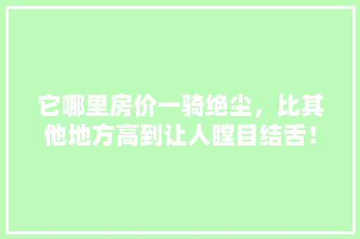 它哪里房价一骑绝尘，比其他地方高到让人瞠目结舌！ 必应SEO