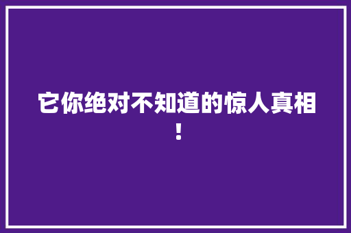 它你绝对不知道的惊人真相！ SEO关键词