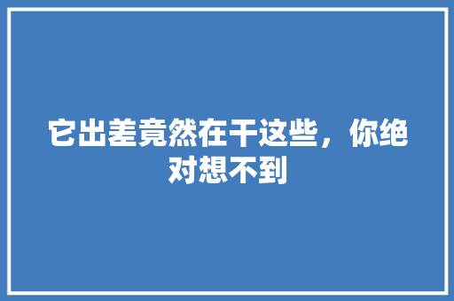 它出差竟然在干这些，你绝对想不到 百度SEO