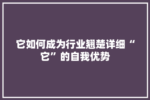 它如何成为行业翘楚详细“它”的自我优势 必应SEO