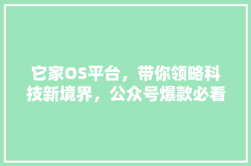 它家OS平台，带你领略科技新境界，公众号爆款必看！ 必应SEO