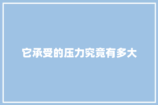 它承受的压力究竟有多大 网站建设公司