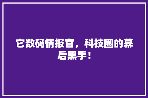 它数码情报官，科技圈的幕后黑手！ SEO关键词