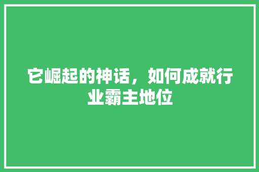 它崛起的神话，如何成就行业霸主地位 神马SEO