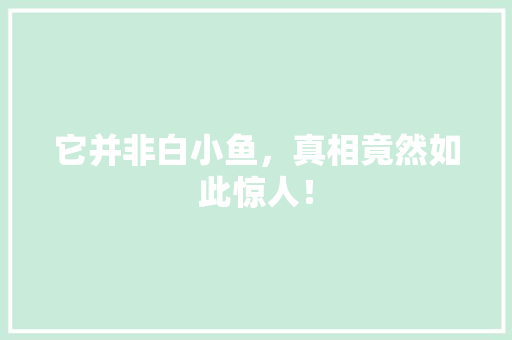 它并非白小鱼，真相竟然如此惊人！ 神马SEO