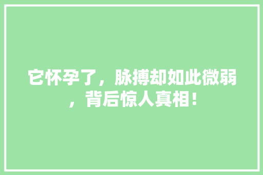 它怀孕了，脉搏却如此微弱，背后惊人真相！ SEO关键词