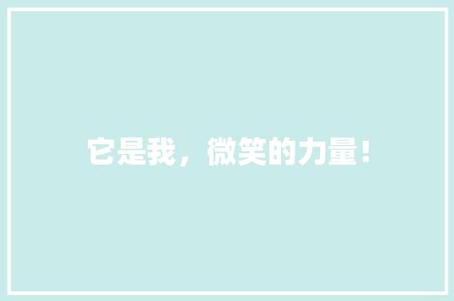 它是我，微笑的力量！ 百度SEO