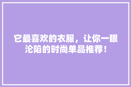它最喜欢的衣服，让你一眼沦陷的时尚单品推荐！ SEO关键词