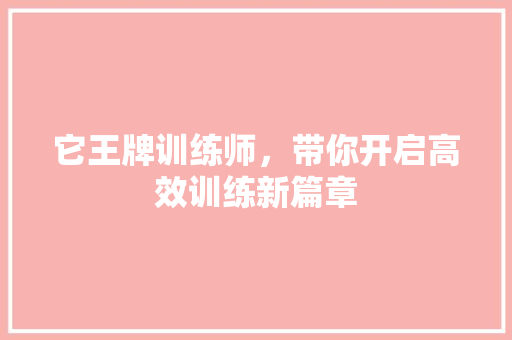 它王牌训练师，带你开启高效训练新篇章 必应SEO