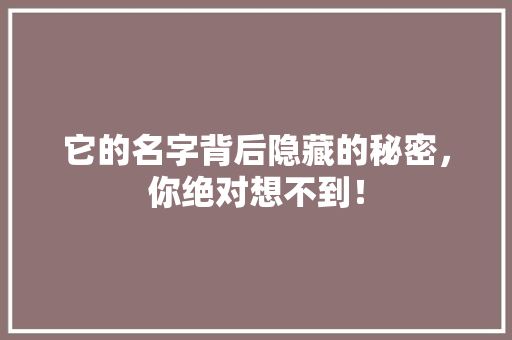 它的名字背后隐藏的秘密，你绝对想不到！ SEO关键词