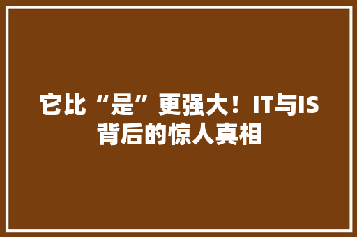 它比“是”更强大！IT与IS背后的惊人真相 百度SEO