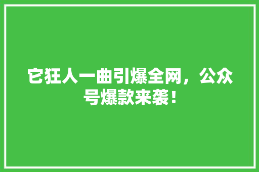 它狂人一曲引爆全网，公众号爆款来袭！ SEO关键词