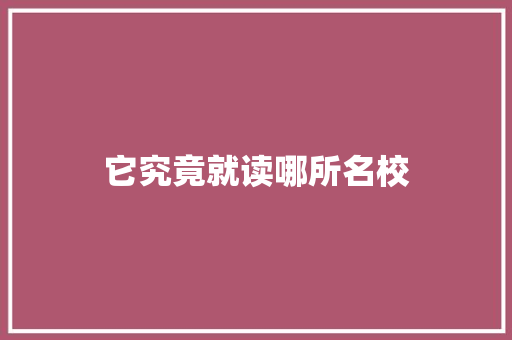 它究竟就读哪所名校 神马SEO