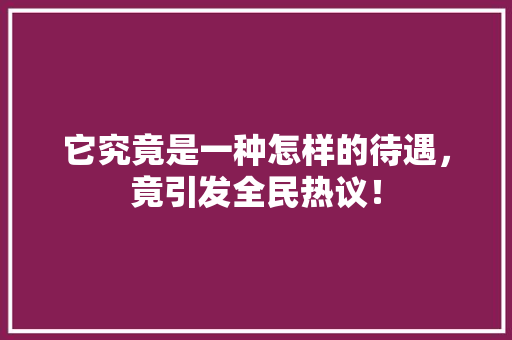 它究竟是一种怎样的待遇，竟引发全民热议！ SEO关键词