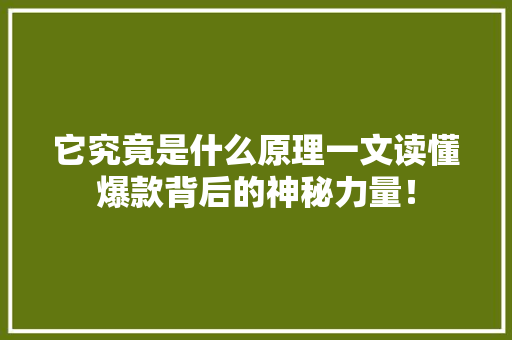 它究竟是什么原理一文读懂爆款背后的神秘力量！ 必应SEO