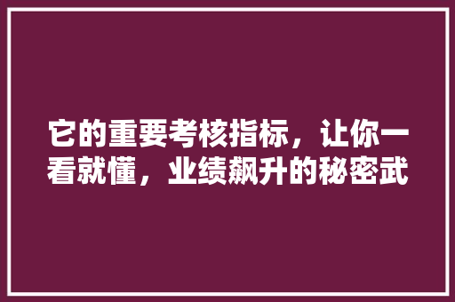 它的重要考核指标，让你一看就懂，业绩飙升的秘密武器！ SEO关键词