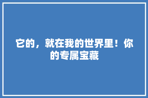 它的，就在我的世界里！你的专属宝藏 网站建设公司