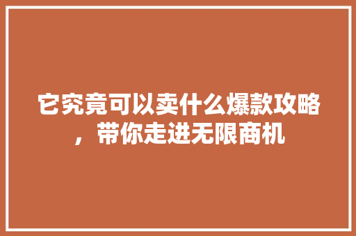 它究竟可以卖什么爆款攻略，带你走进无限商机 百度SEO