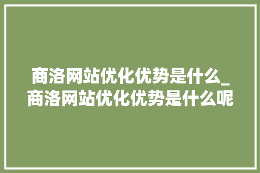 商洛网站优化优势是什么_商洛网站优化优势是什么呢。
