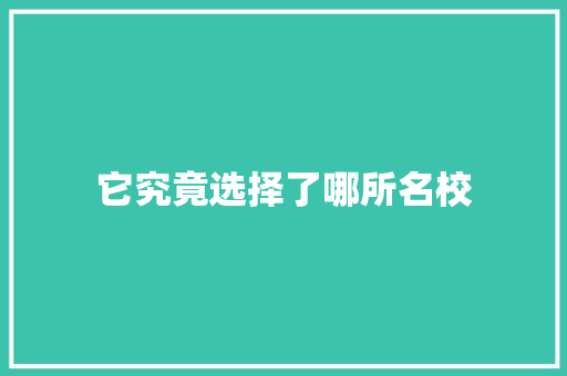 它究竟选择了哪所名校 神马SEO