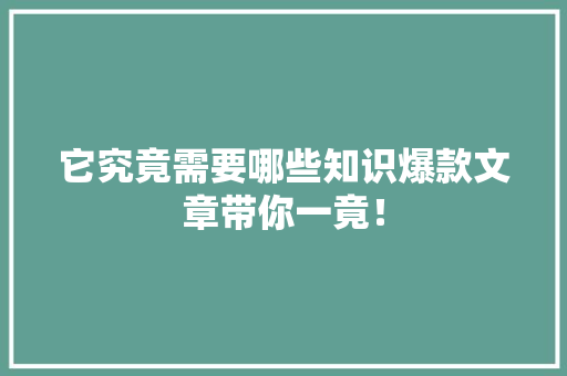 它究竟需要哪些知识爆款文章带你一竟！ 网站建设公司