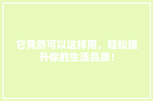 它竟然可以这样用，轻松提升你的生活品质！ SEO关键词