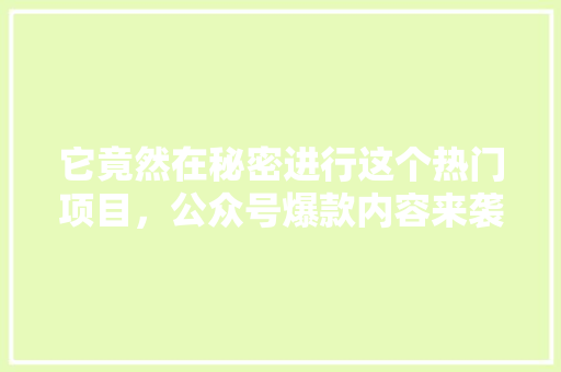 它竟然在秘密进行这个热门项目，公众号爆款内容来袭！ SEO关键词