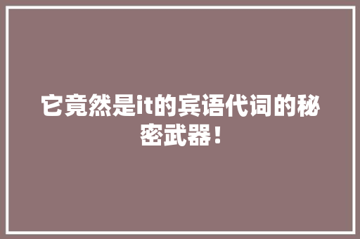 它竟然是it的宾语代词的秘密武器！ 搜狗SEO