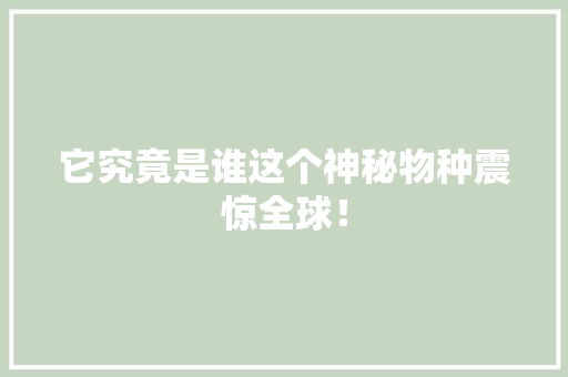 它究竟是谁这个神秘物种震惊全球！ SEO关键词