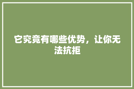 它究竟有哪些优势，让你无法抗拒 SEO关键词