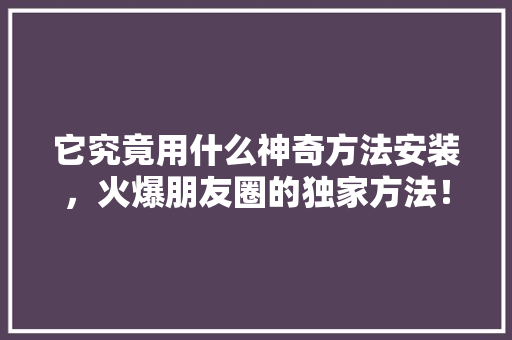 它究竟用什么神奇方法安装，火爆朋友圈的独家方法！ 必应SEO