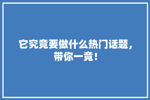 它究竟要做什么热门话题，带你一竟！ 百度SEO