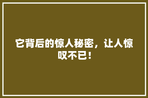 它背后的惊人秘密，让人惊叹不已！ 网站建设公司