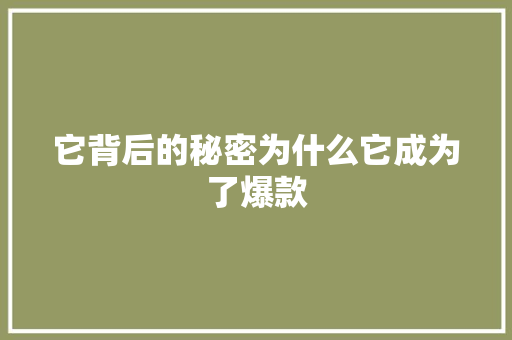 它背后的秘密为什么它成为了爆款 百度SEO