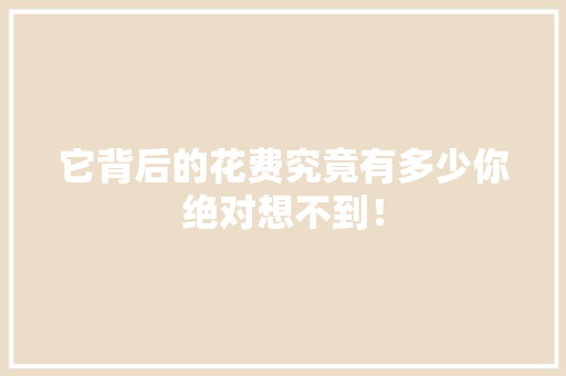 它背后的花费究竟有多少你绝对想不到！ 神马SEO