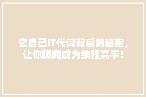 它自己IT代词背后的秘密，让你瞬间成为编程高手！ 神马SEO