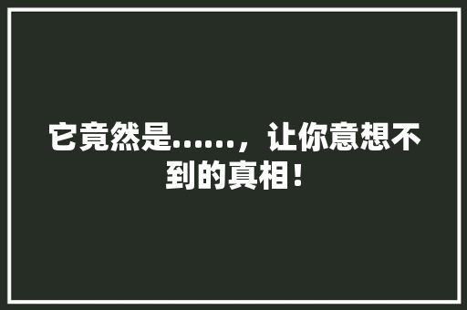 它竟然是……，让你意想不到的真相！ 搜狗SEO
