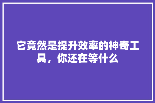 它竟然是提升效率的神奇工具，你还在等什么 必应SEO